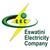 Eswatini Electricity Company logo