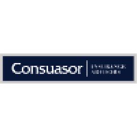 Consuasor, Inc logo