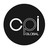 CPI GLOBAL logo