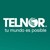TELNOR logo