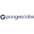 pangea labs logo
