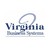 Virginia Business Systems logo