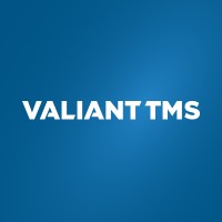 Valiant TMS Systems Pvt. Ltd. logo