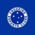 Cruzeiro Esporte Clube - SAF logo