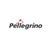 Pellegrino Autopeças e Motopeças logo