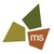 ms consultants, inc. logo