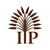 Investisseurs & Partenaires - I&P logo