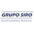 Grupo Siro logo