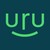 Nemuru logo