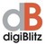 digiBlitz Holdings logo