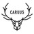 CARUUS logo