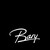 Bary AS logo