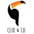 Clio & Co logo