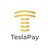 TeslaPay logo