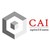 CognoticAI LLC. logo