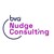 BVA Nudge Consulting logo