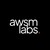 AWSM LABS logo