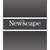 Newscape Capital Group Ltd logo