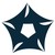 USA SHADE logo