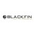 BlackFin Capital Partners logo