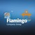 Flamingo Company Group logo