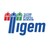 Telethon Institute of Genetics and Medicine (TIGEM) logo