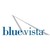 Blue Vista Capital Management logo