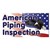 American Piping Inspection logo