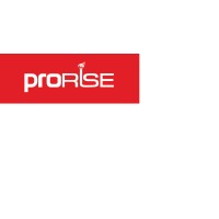 ProRise Solutions LLC logo