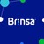Brinsa S.A. logo