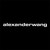 alexanderwang llc. logo