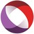 Roper St. Francis Healthcare logo