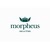Morpheus Securities logo