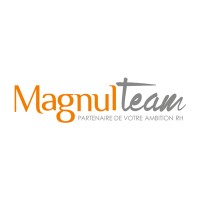 Magnulteam logo