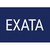 Exata Consultoria Empresarial logo