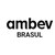 Brasul Ltda - Cervejaria Ambev logo