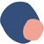 Paloma Health logo