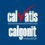 Calvatis Group logo