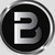 BVTC CONSEIL logo