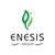 Enesis Group logo