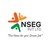 NSEG Pvt. Ltd. logo
