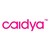 dMed Biopharmaceutical Co., Ltd. dba Caidya Logo