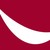 Practicon Inc. logo