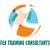 FEA Training Consultants Inc.| SolidWorks Reseller Canada | Engineering Consultants logo