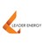 Leader Energy logo