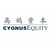 Cygnus Equity logo