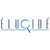 Elucide Softech Private Limited logo