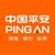 中国平安金融集团广西人寿分公司 logo
