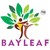 BayLeaf HR Solutions Pvt. ltd logo
