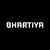 Bhartiya International Limited logo